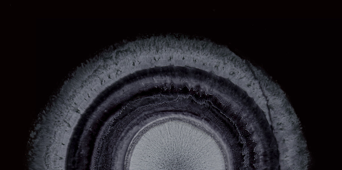 Cymatics: A Fusion of Art, Sound, and Philosophy